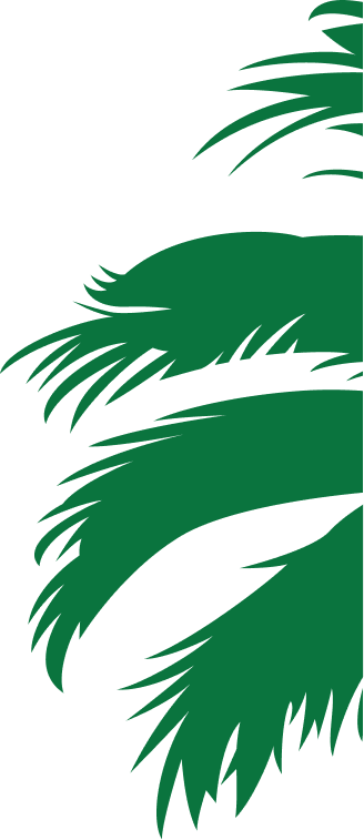 capyhero palms
