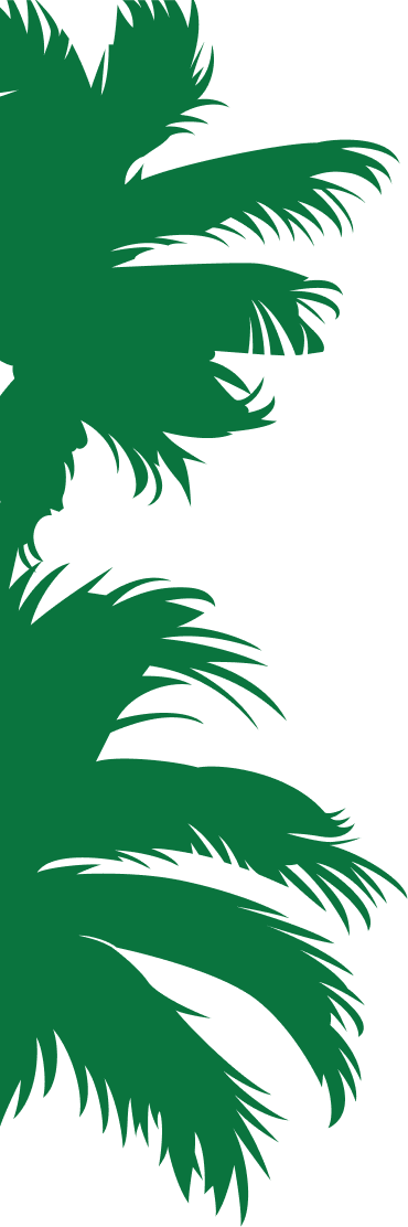 capyhero palms