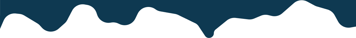 capyhero footer